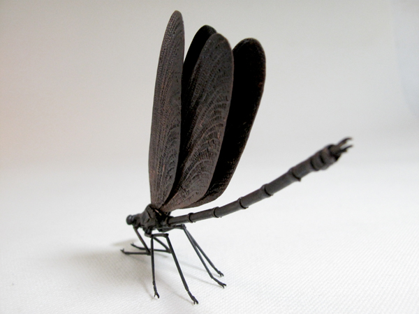 自在置物標本箱 ハグロトンボ