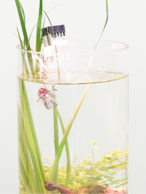 マメミニライト【マメデザイン】10W全10色（淡水、海水、水草