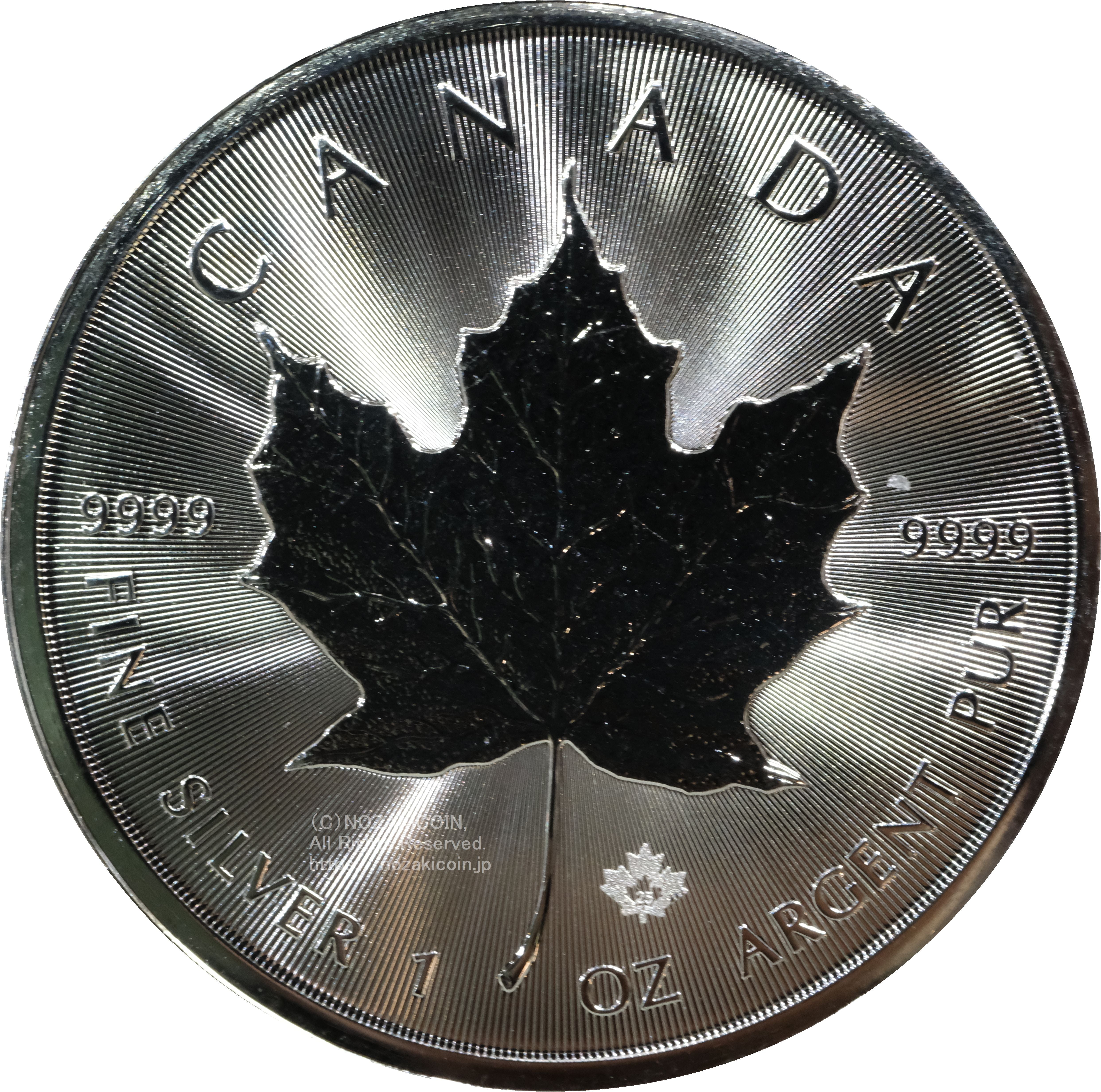 DSCF0193.jpg?v=1739613453