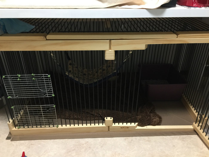 メディカル60ペットサークル 【公式通販】