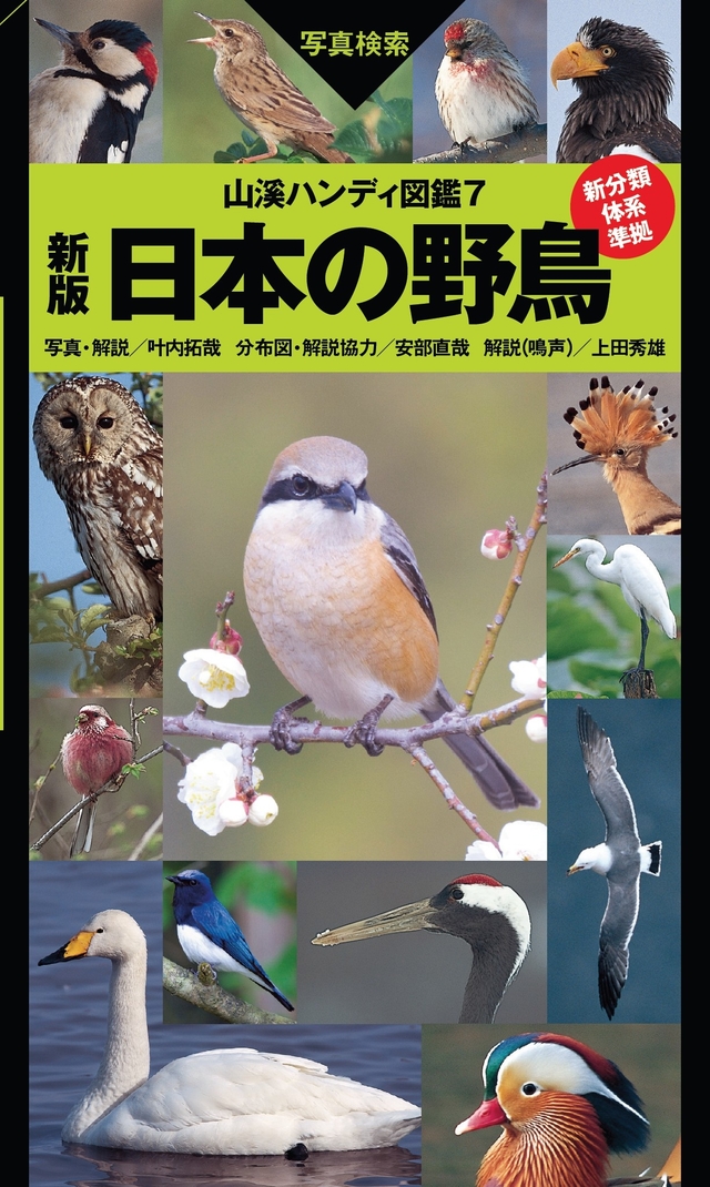 アメリカの野鳥、哺乳類図鑑3冊セット
