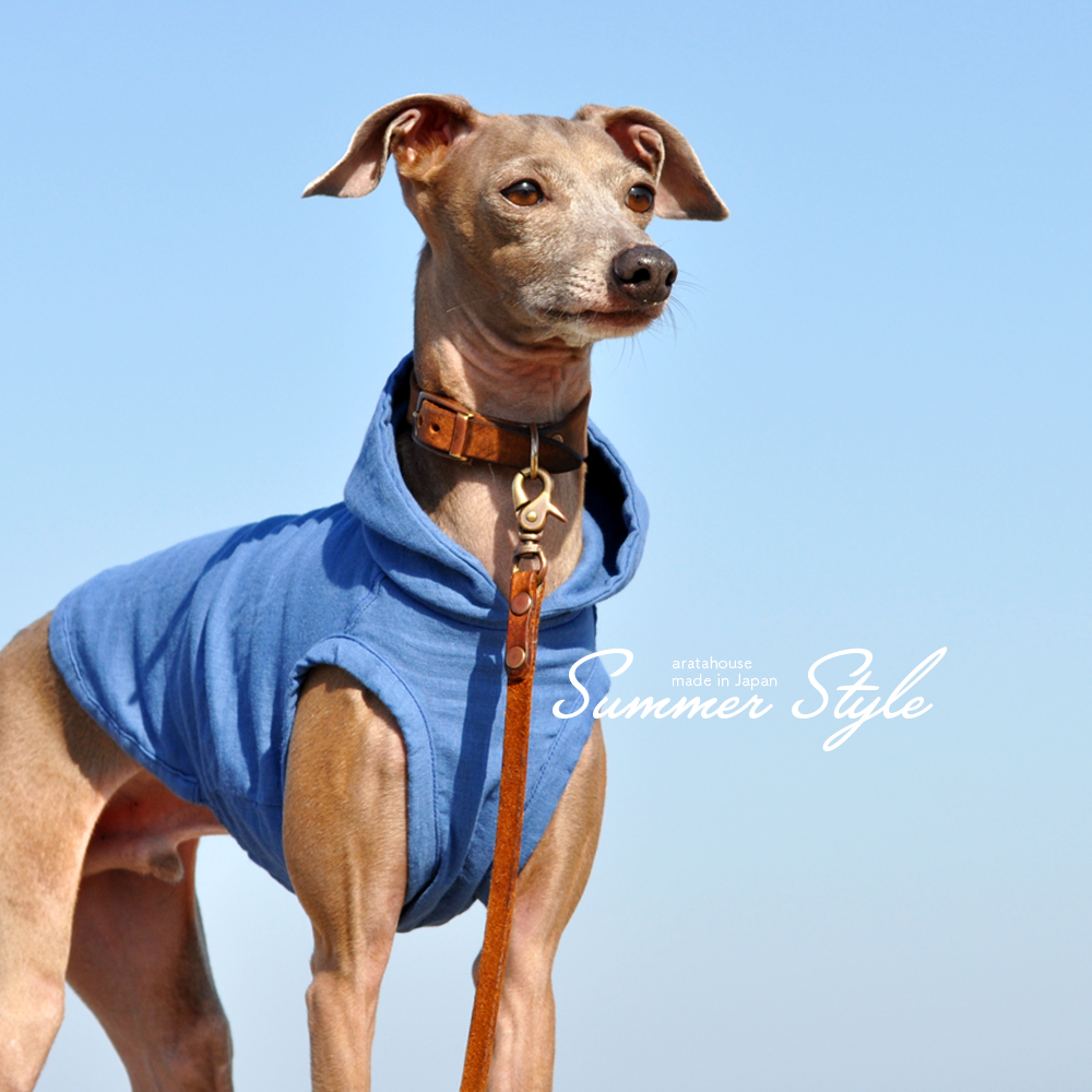 アトリエgg ニット サイズ3 アトリエgg 犬服 サイズ3 GG MADE IN