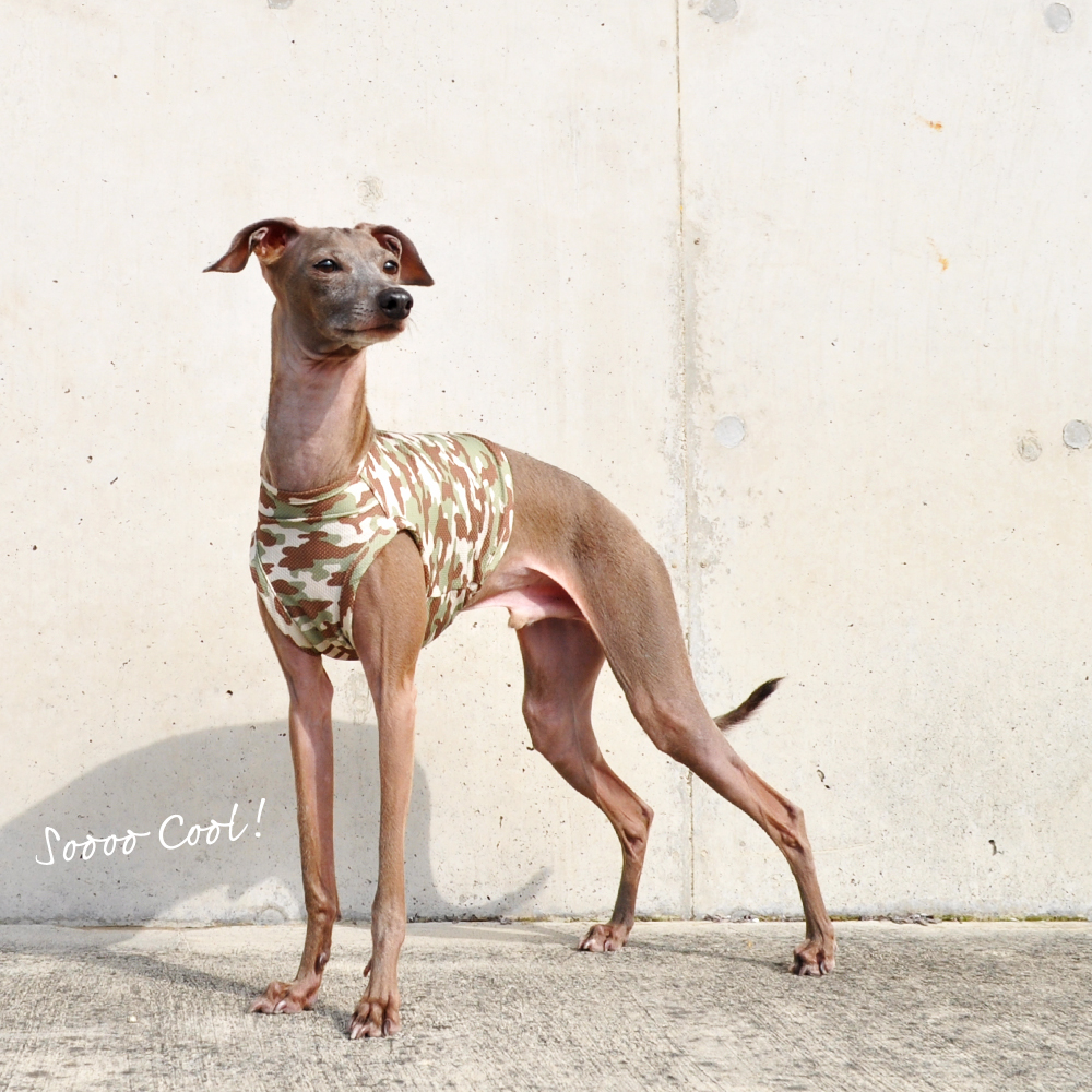 犬服｜SOOOO COOL! 水に濡らしてひんやり!UVカット90%｜ウォーター