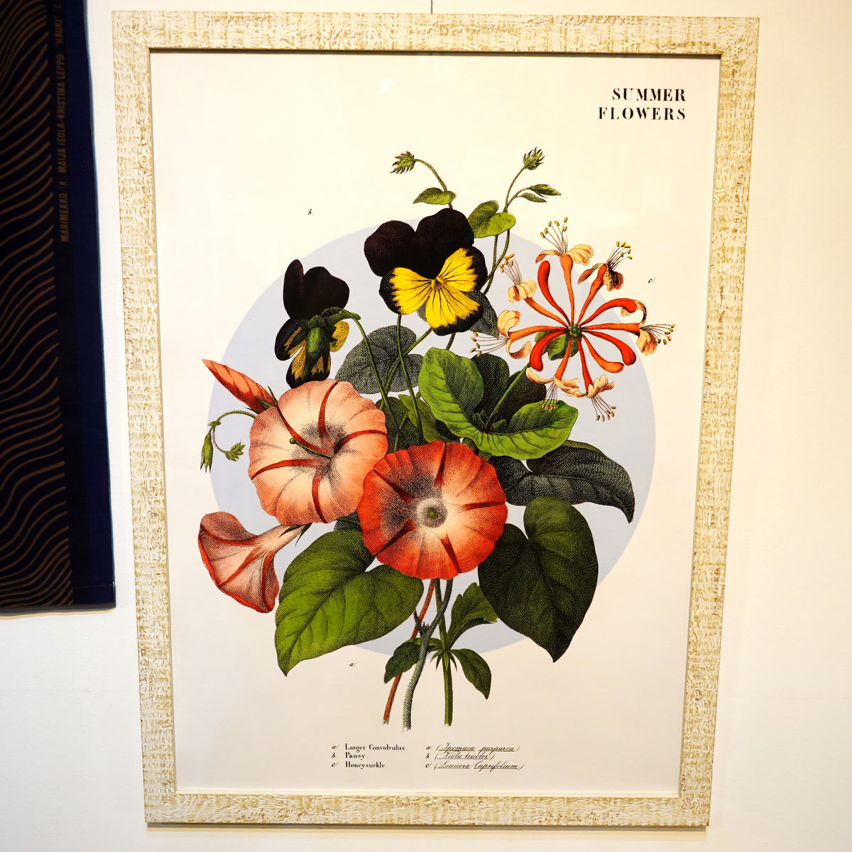 DSC00632_1200x1200.jpg?v=