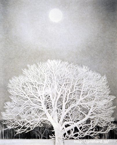 東山魁夷 風景画 プリハード白馬の森(最終価格‼️27800円) 東山魁夷