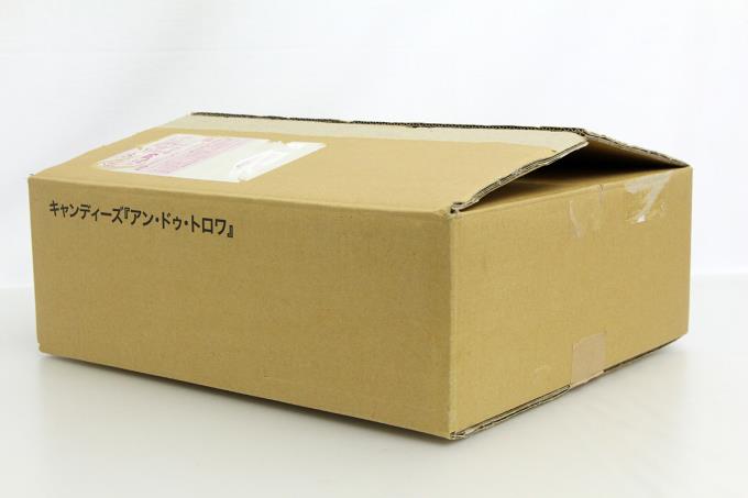 キャンディーズ アンドゥトロワ 40周年記念 写真集 特典ポスター付き