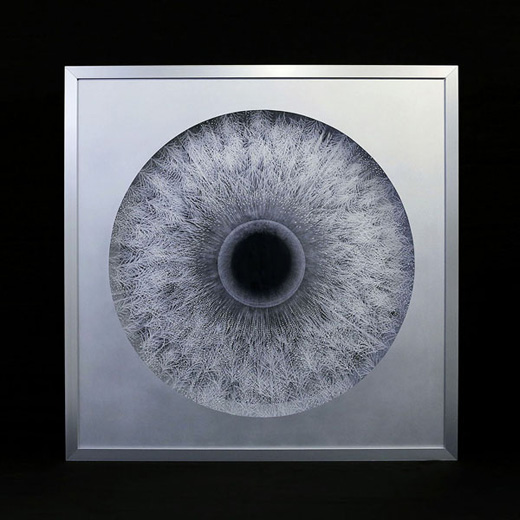 徳永博子「How to Make」木の葉から漏れる光を、辿るように削り重ねる