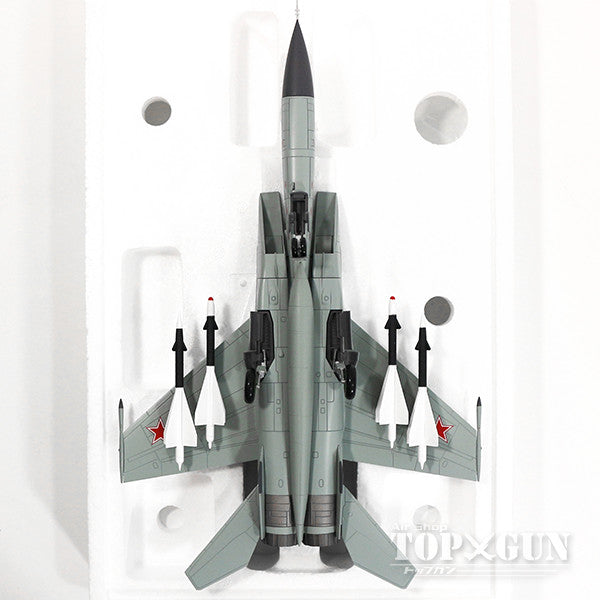 Hobby Master MiG-25P「フォックスバットA」 ソビエト防空軍 第513戦闘