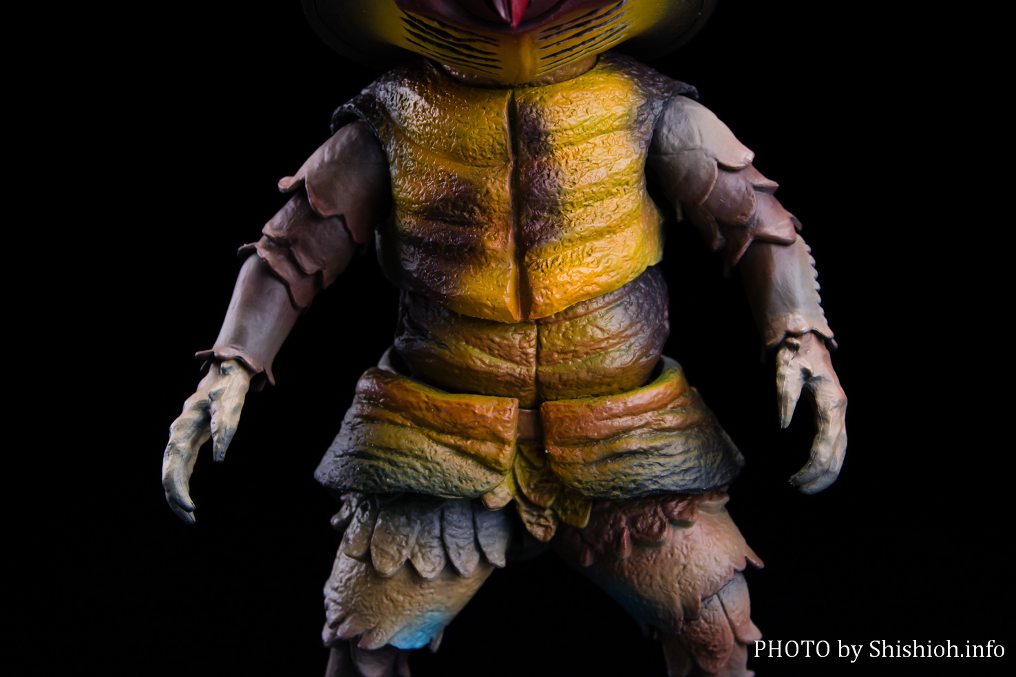 レビュー】S.H.Figuarts アントラー