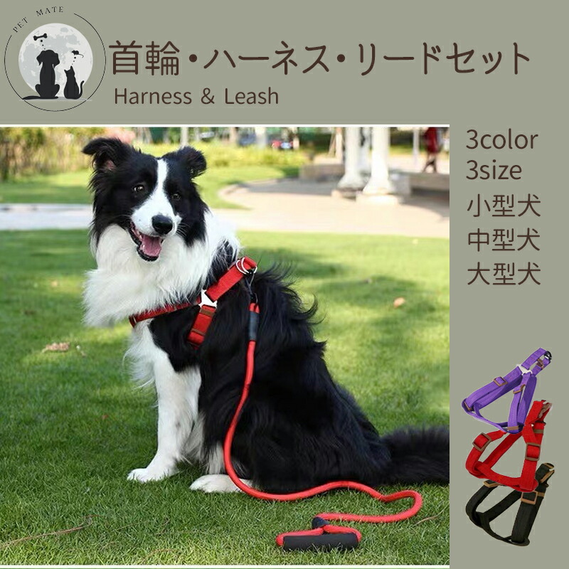 楽天市場】◇送料無料◇ 犬用首輪・ハーネス・リード3点セット 犬用