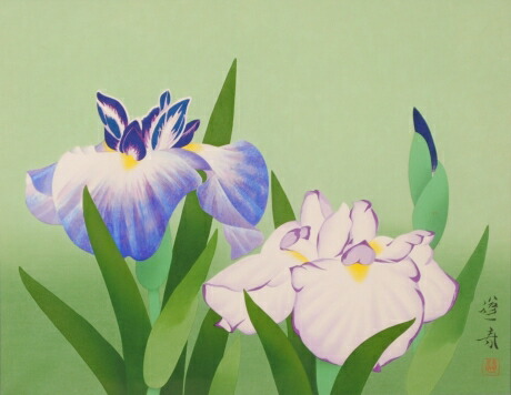 楽天市場】【作家名】山口蓬春(やまぐちほうしゅん) 【作品名】花菖蒲