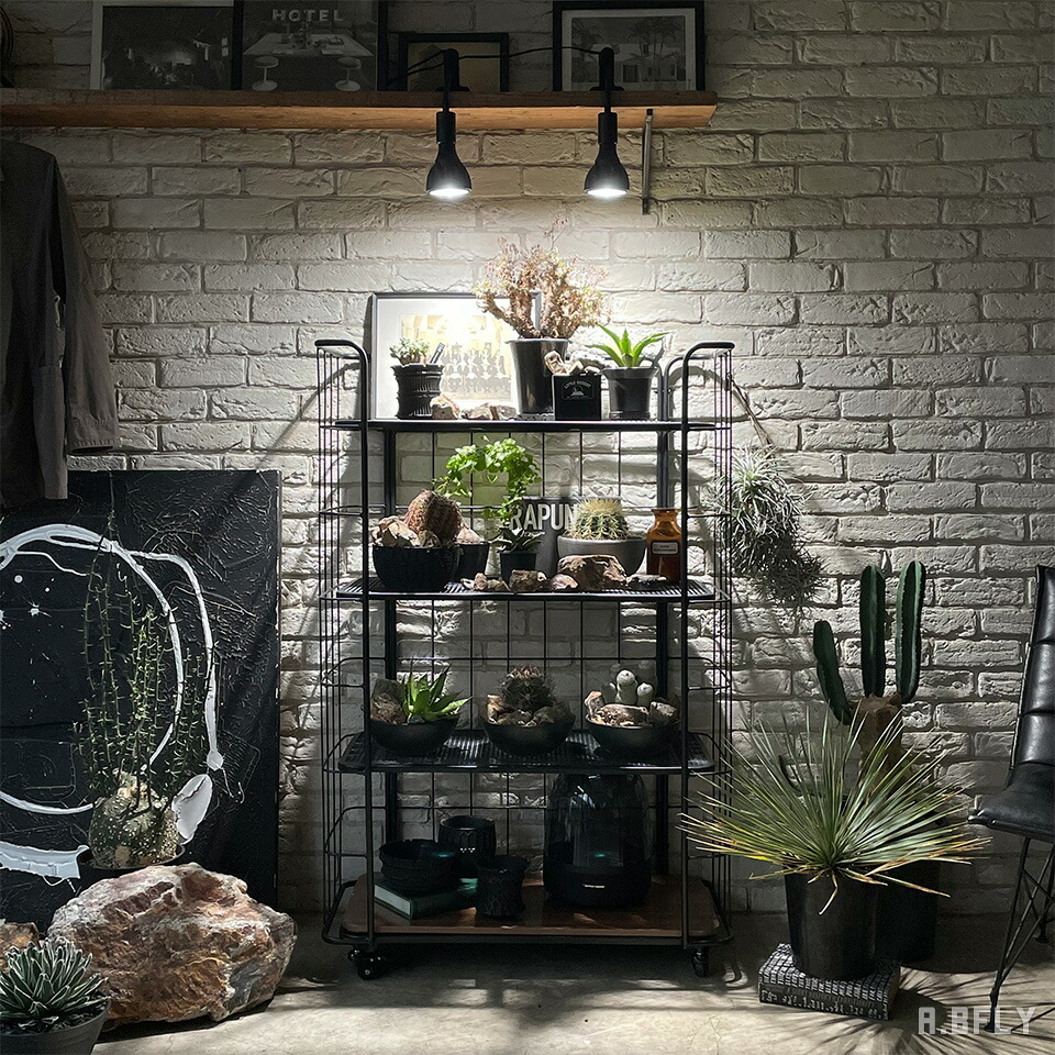 楽天市場】オープンシェルフ メッシュ スチール ラック マルチ 棚 観葉