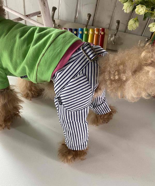 as know as dewan アズノゥアズデワン NベルトリボンストラPT 【公式通販】