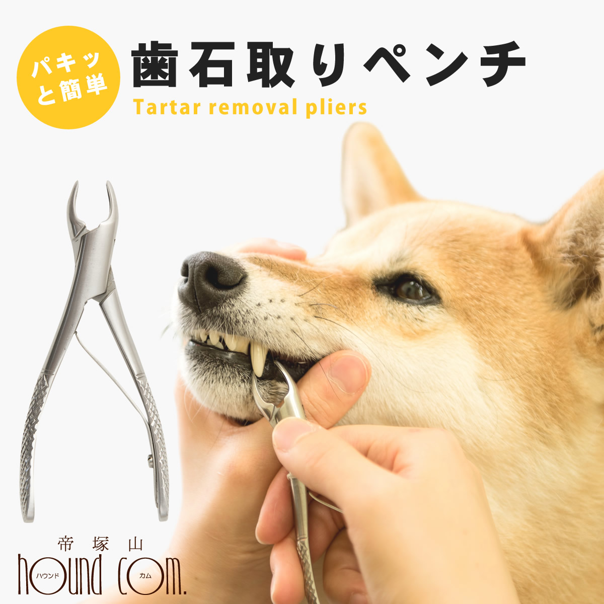 楽天市場】帝塚山ハウンドカム 歯石取りペンチ 犬用 猫用 ステンレス