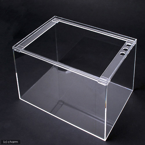 楽天市場】水槽 アクリル水槽 ラクシス No．30 （450×300