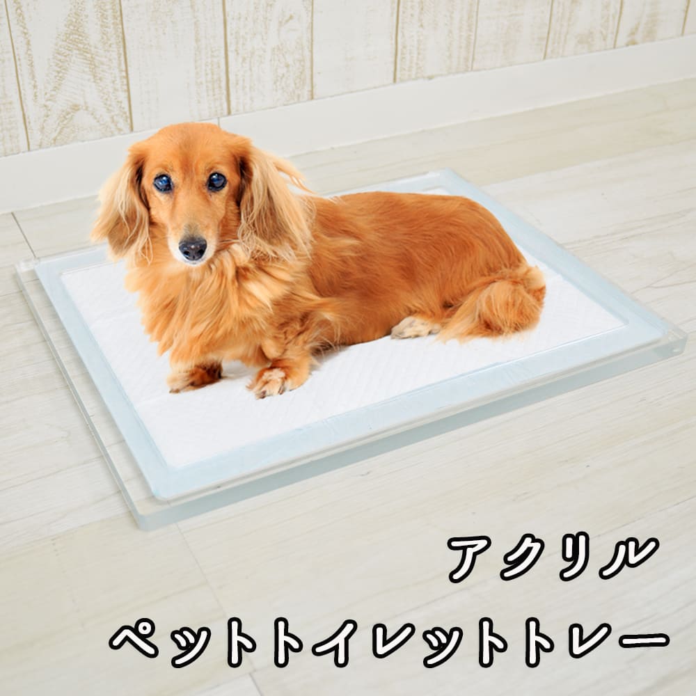 ペットアクリルトイレ ICHIGOtype ワイドサイズ 楽天市場】トイレ