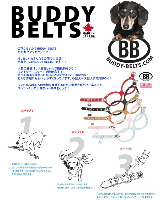 楽天市場】獣医師推奨 BBハーネス バディーベルト 3号 BUDDY BELT