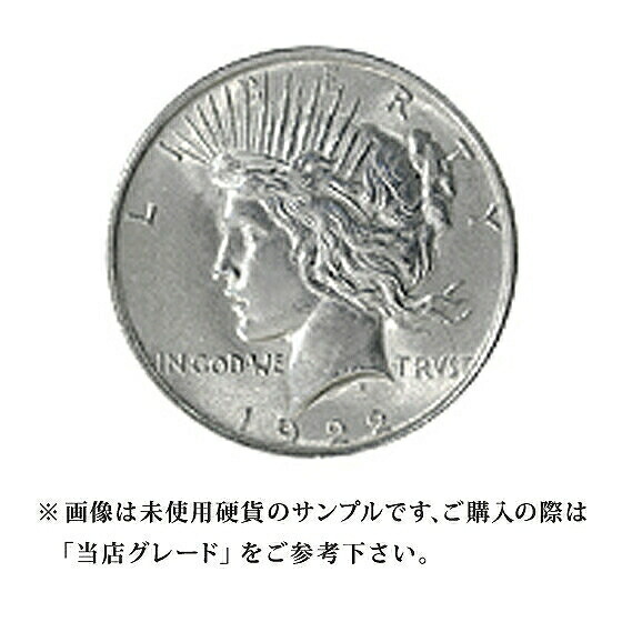 1921年 アメリカ合衆国 1ドル ギミック 1921年 アメリカ合衆国 1ドル