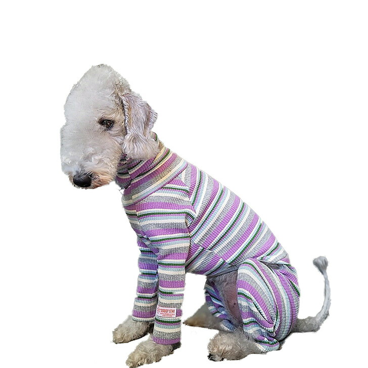 楽天市場】イタグレ 服 IG ボーダーロンパース S M L XL 2XL 3XL