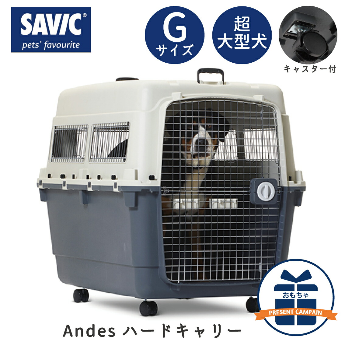 楽天市場】クレート 犬 おすすめ IATA基準 移動 おしゃれ しつけ