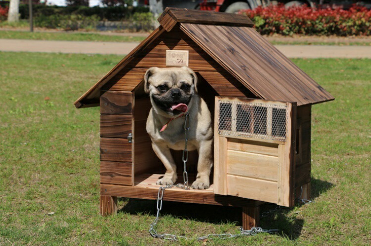楽天市場】Mサイズ犬舎 猫舎 犬小屋 猫小屋 ペット屋 PET HOUSE DIY