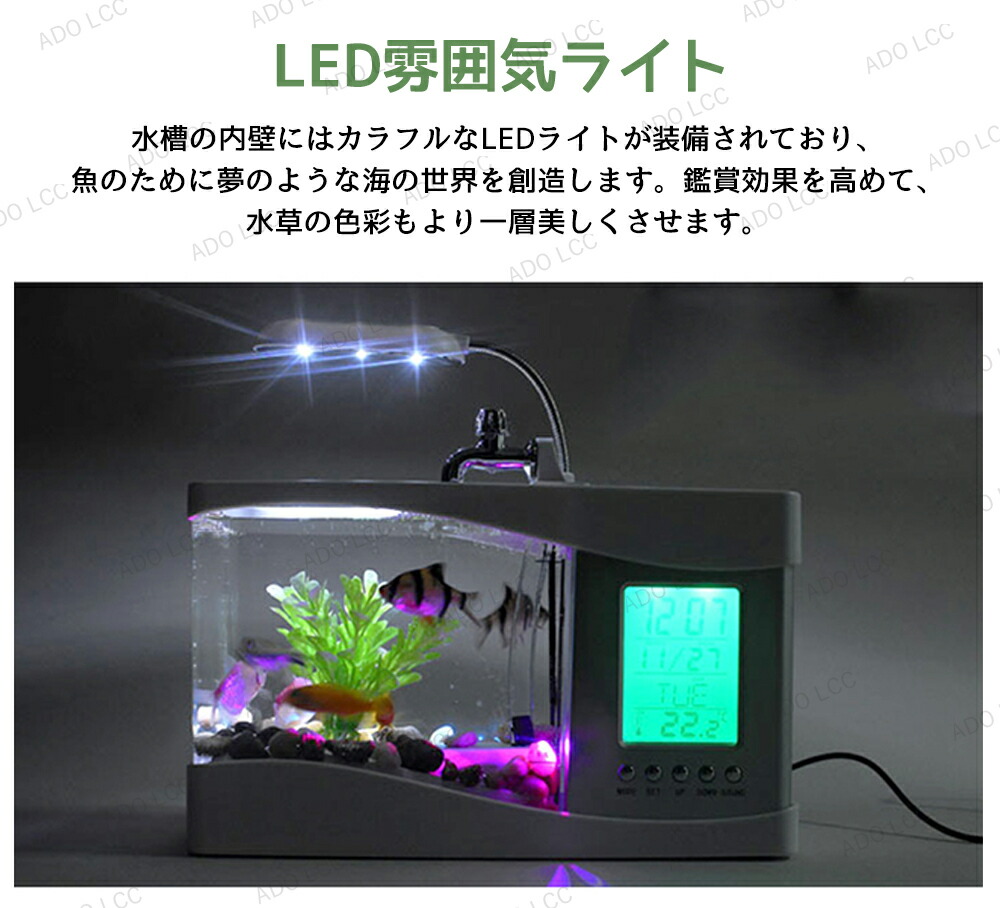 楽天市場】LEDライトフィルターポンプ付き水槽セットアクアリウム
