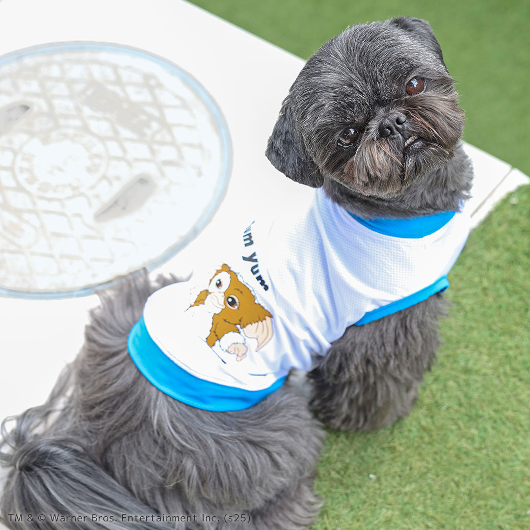 楽天市場】【 防虫 涼感 犬 夏服 】iDog COOL+MOSCAPE GREMLINSギズモ