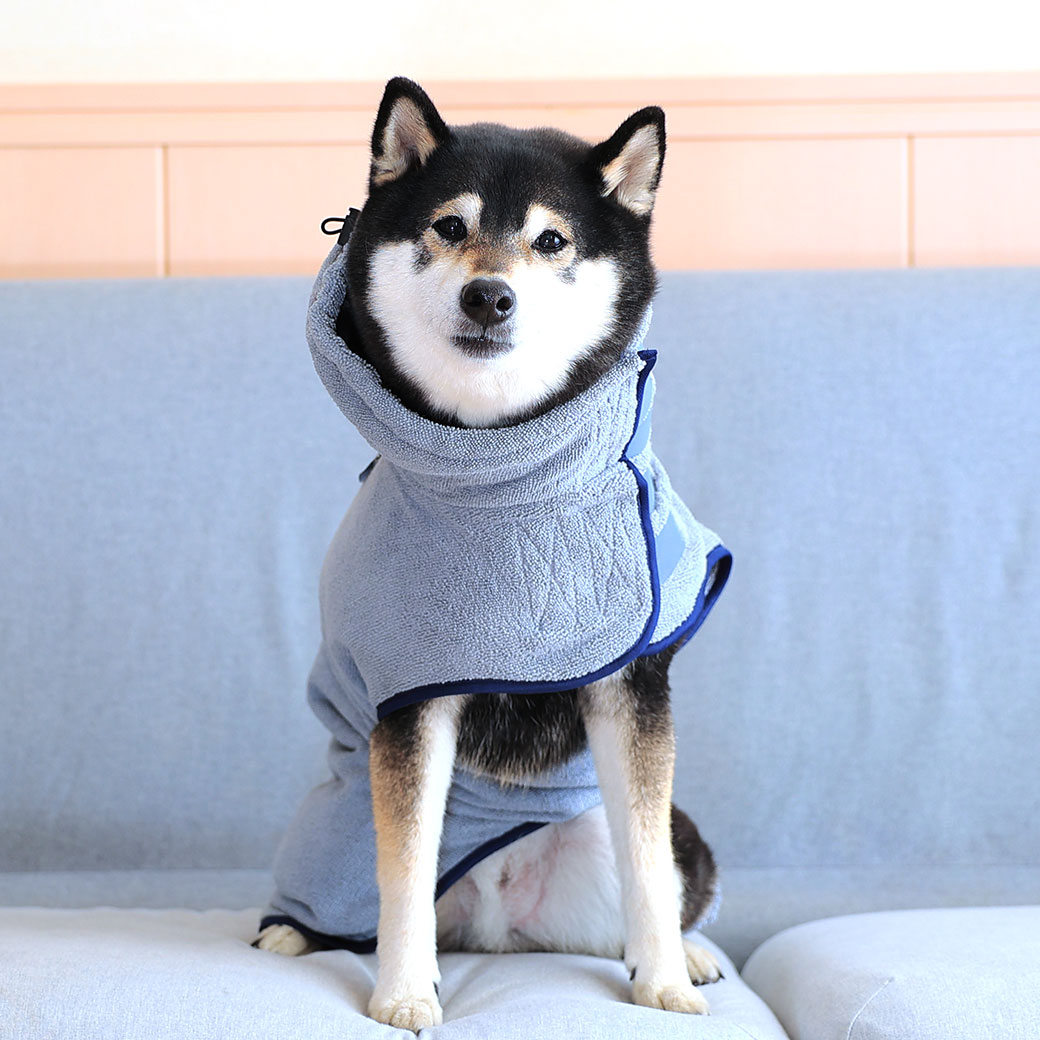 楽天市場】【 大型犬 服 】iDog TREKNINE 中大型犬用 マイクロ