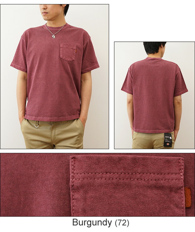 楽天市場】（PigmentプレミアムポケT） ピグメント 染め プレミアム