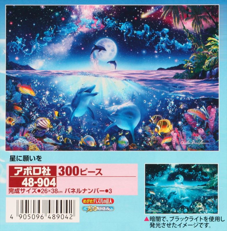 ジグソーパズル C．R．ラッセン 星に願いを 23－707 ジグソーパズル C