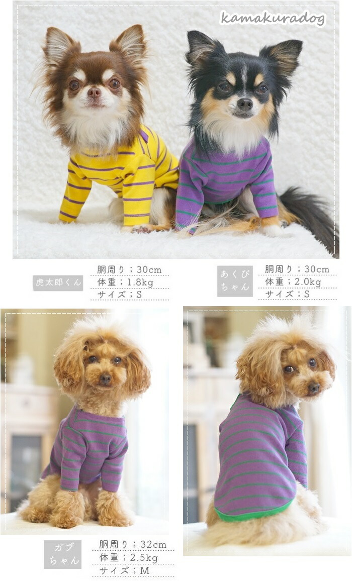 ○犬服○ハンドメイド 胴33 NO.506 ○犬服○ハンドメイド 胴39 NO.427