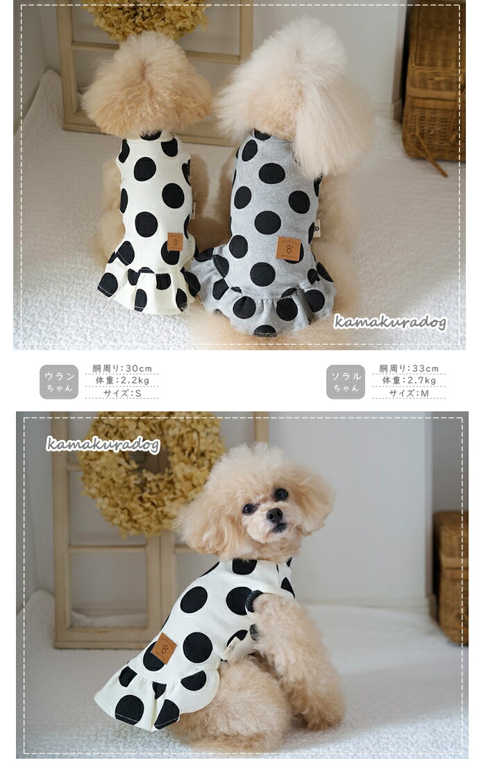 犬服 S わんこの普段着グレープドット