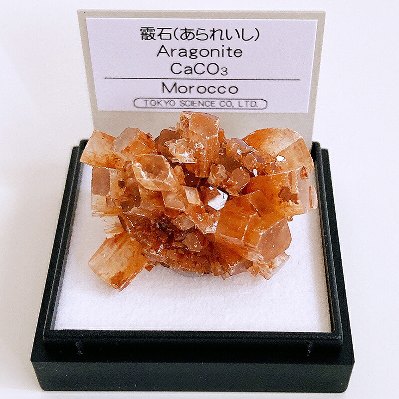楽天市場】あられ石 （モロッコ） 鉱物 標本 東京サイエンス ミニ鉱物