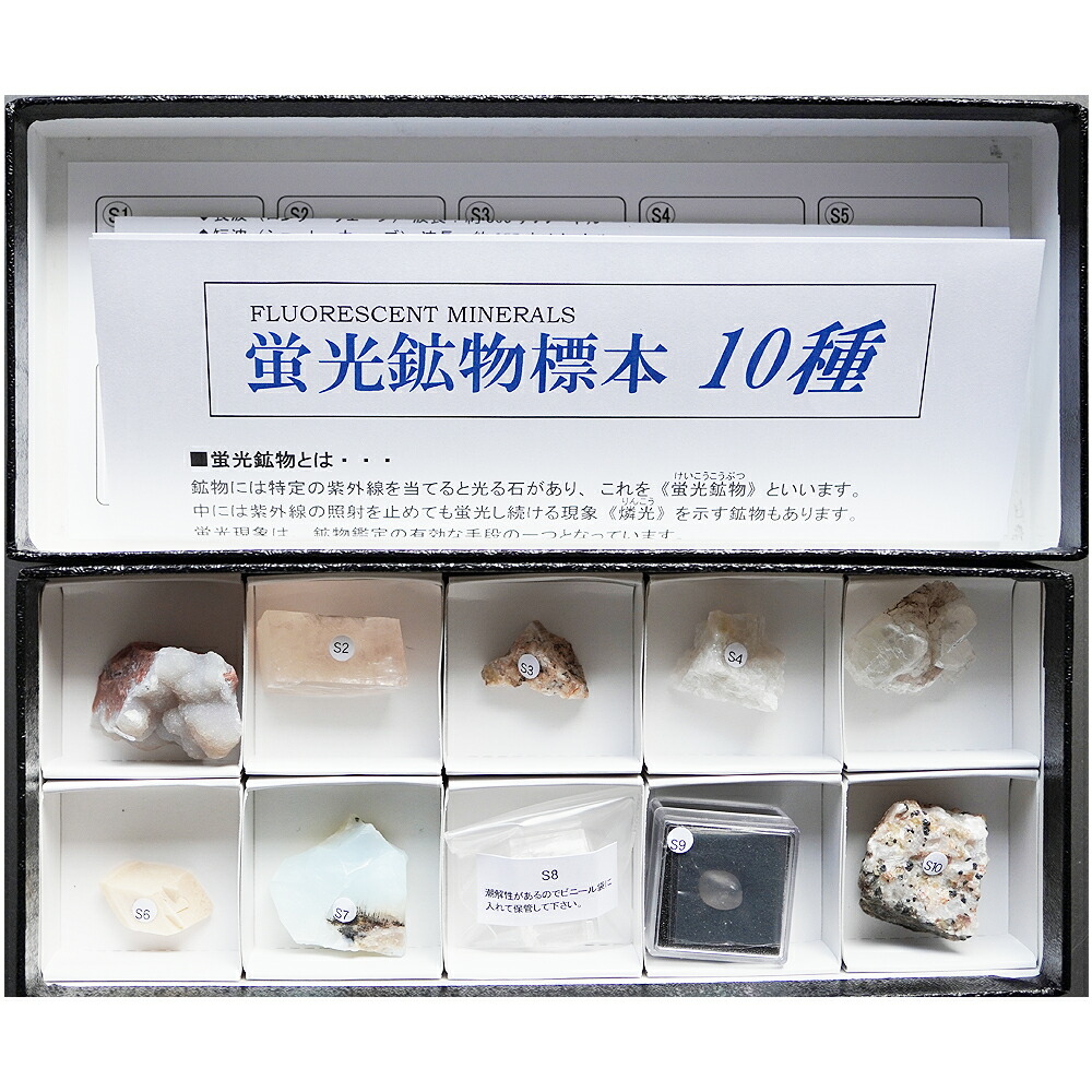 ms012n_1.jpg