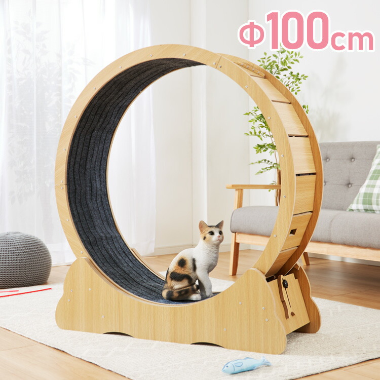 楽天市場】猫用 キャットホイール 大型 直径100cm ストッパー付き小型