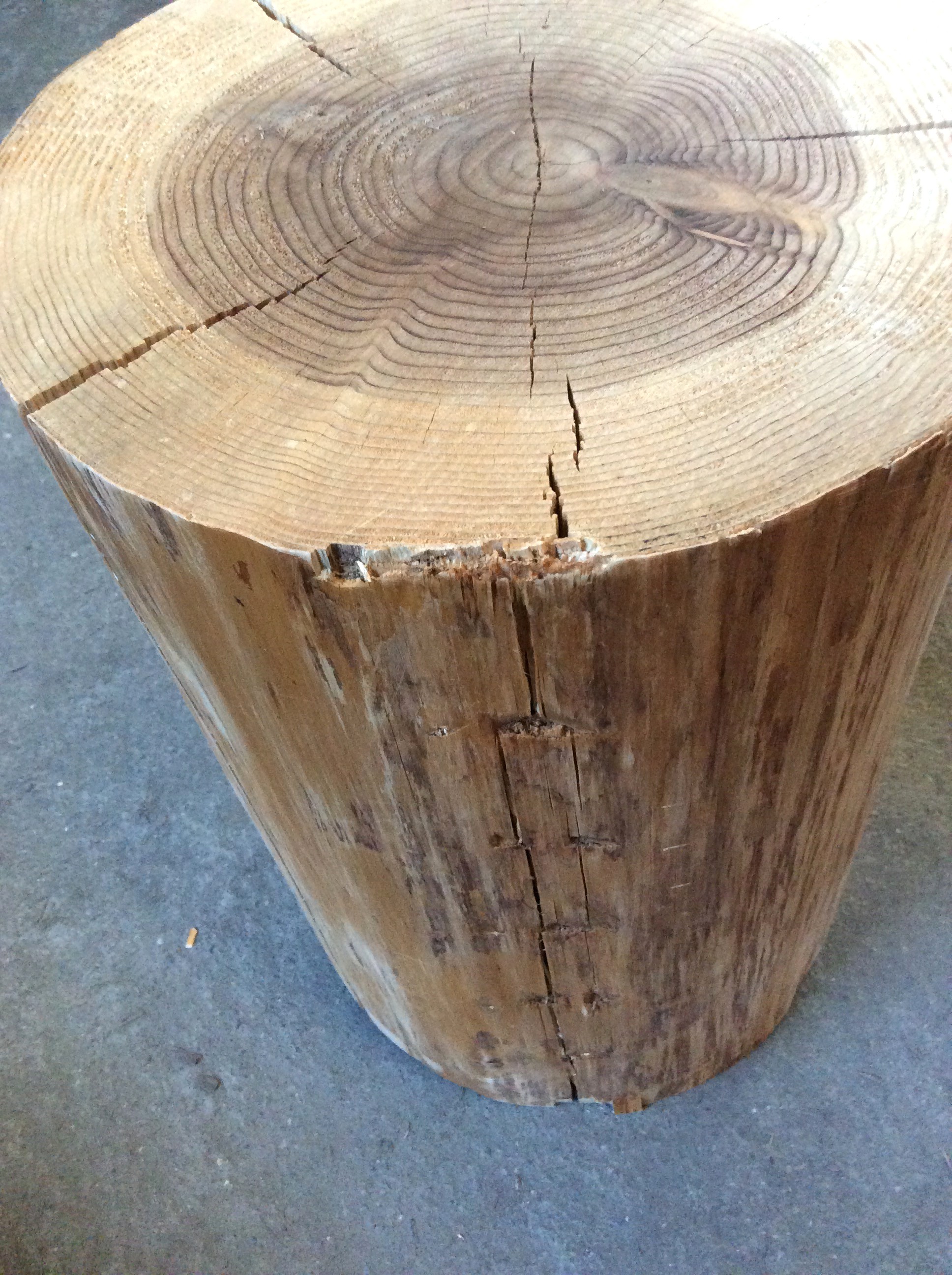 楽天市場】杉 丸太 切り株 皮なし 送料無料 スツール 飾り台 製材機