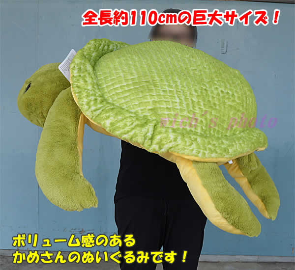 楽天市場】【送料無料】巨大 カメ ぬいぐるみ 全長約100cm グリーン