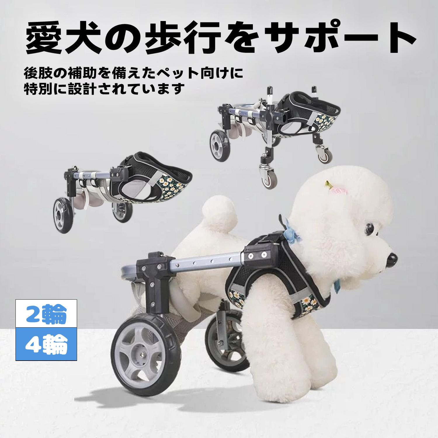 01.jpg?fitin=357:357