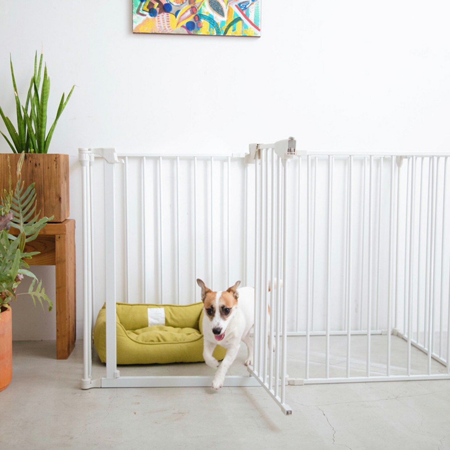 楽天市場】☆セットでお得☆【AR対応商品】 犬 ゲージ おしゃれ