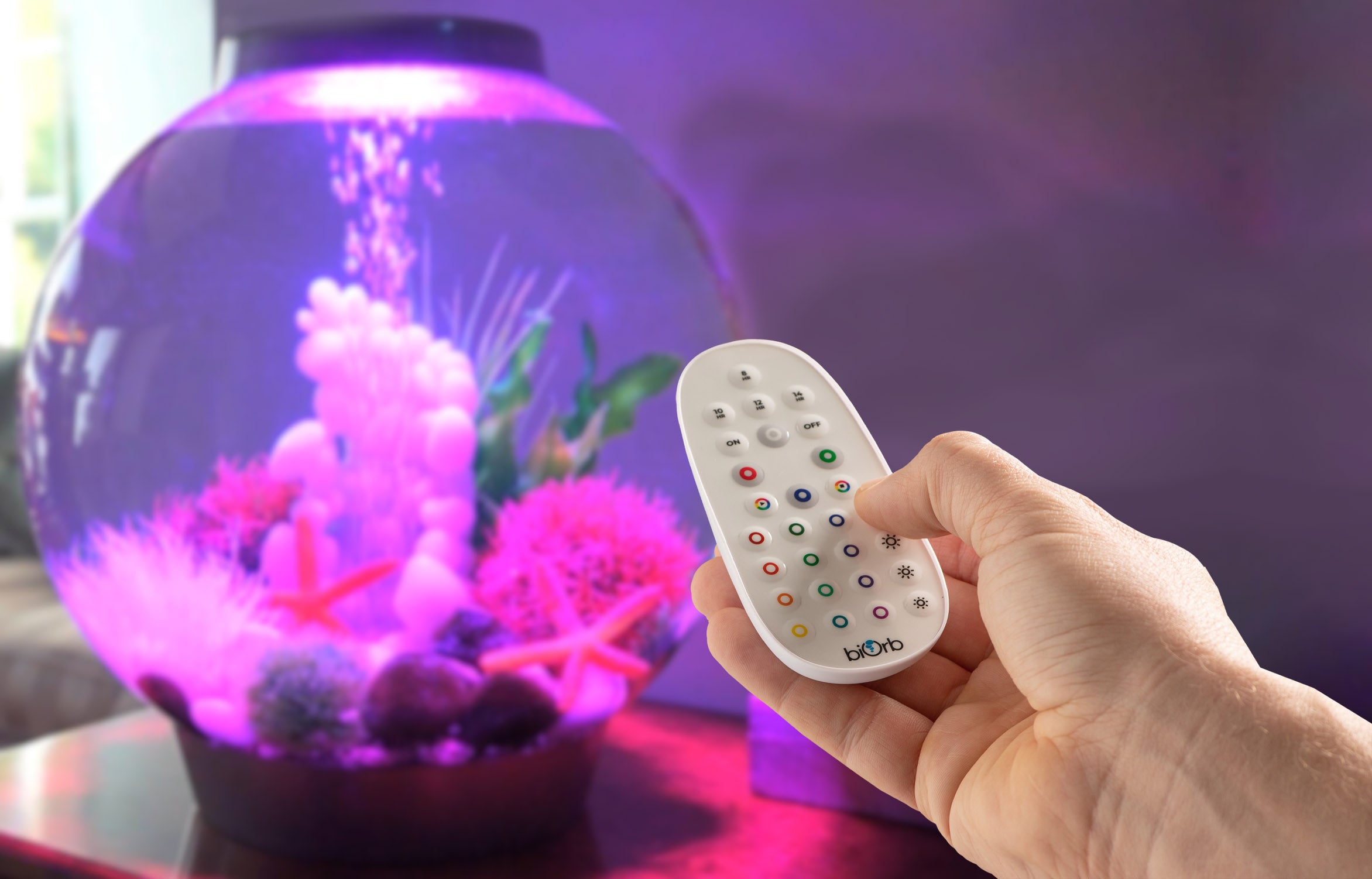 biOrb Classic Collection Aquariums for Your Home | biOrb US