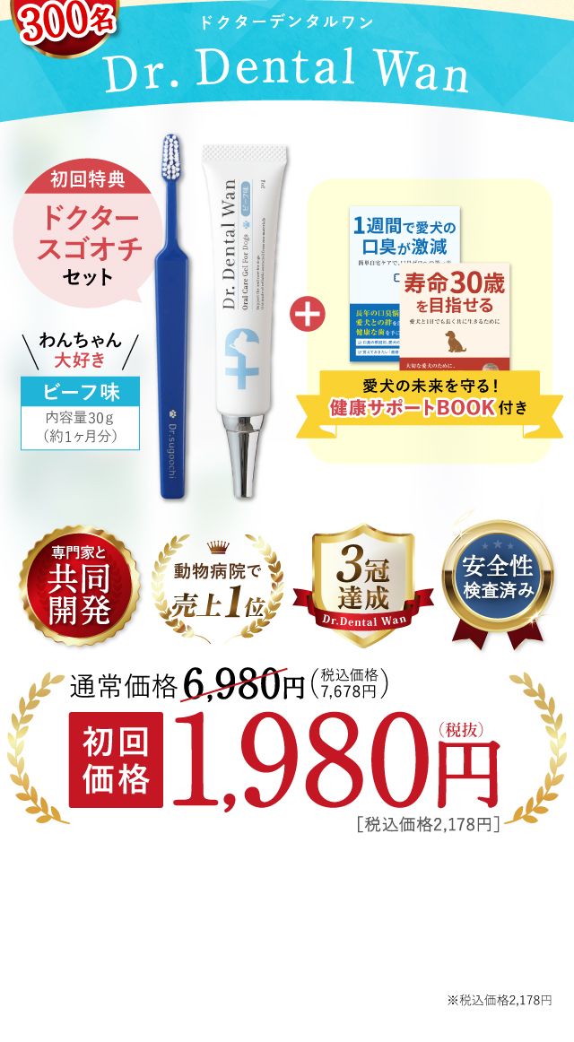 ドクターワンデル 2本 ドクターデンタルワン デンタルワン ワンデル 2