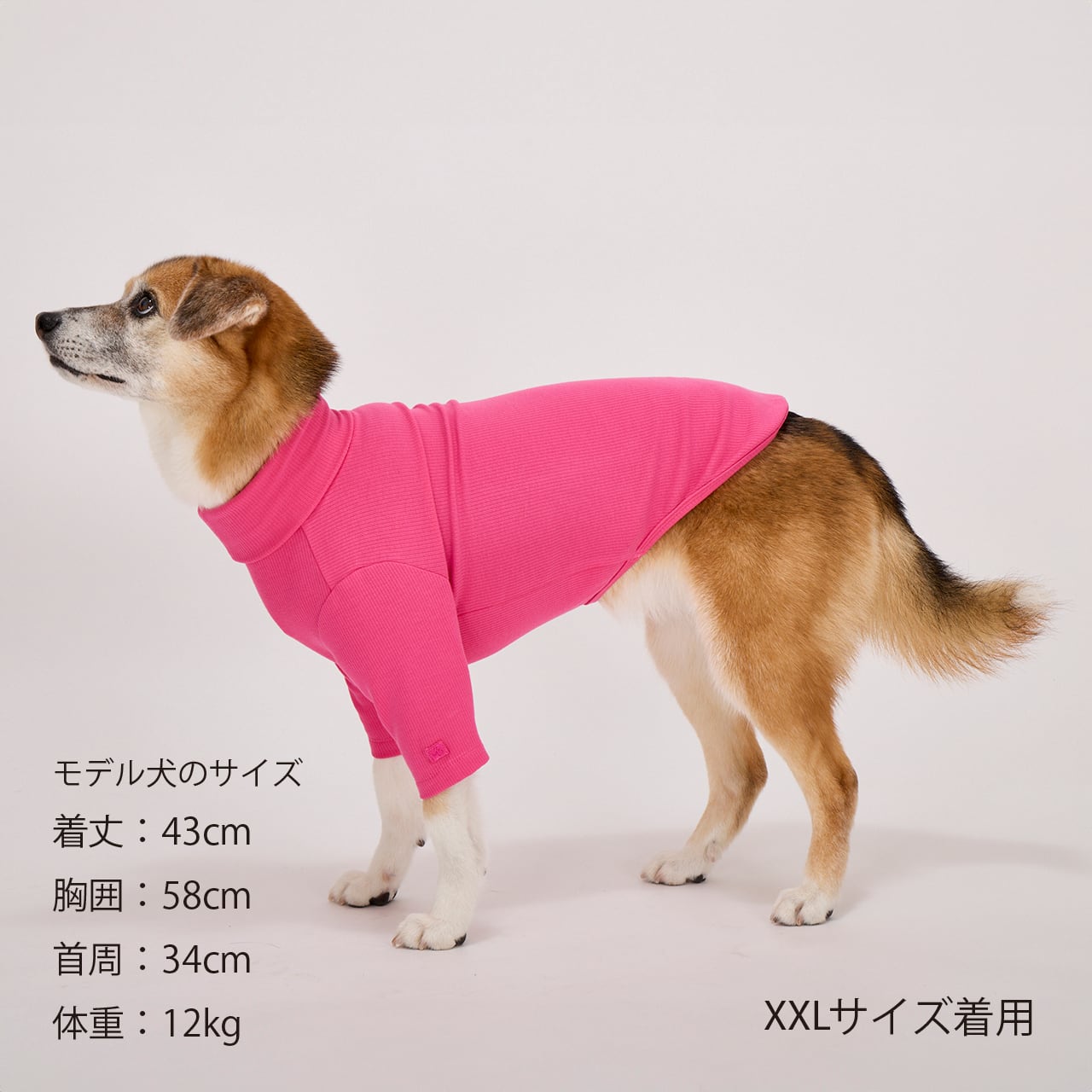 セール マンダリンブラザーズ ベーシックリブTシャツ 長袖 ドッグ