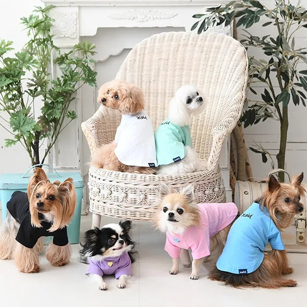 セール エックスガール ドッグシャツ オールシーズンTシャツ 犬服
