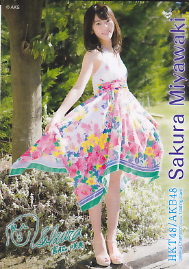 週刊少年チャンピオン HKT48 抽プレカード 8種入荷: <font size=