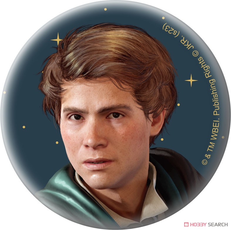 Hogwarts Legacy 缶バッジ 8個セット Hogwarts Legacy 缶バッジ