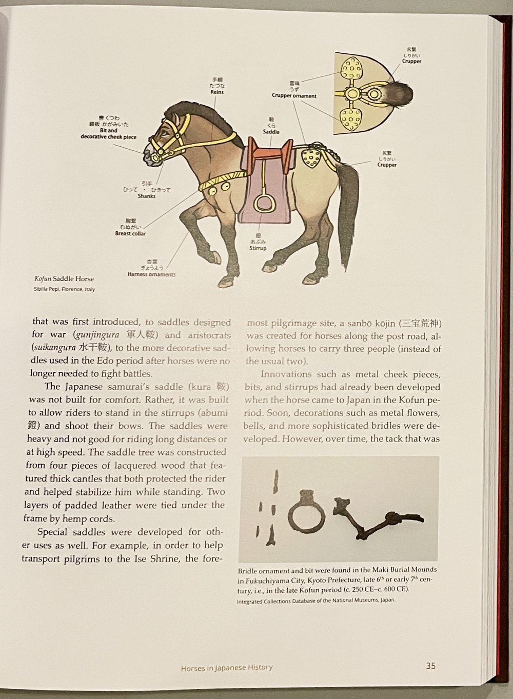 時代 馬学 巻物 まくり 4枚 和本 墨書 馬医書 馬療図 古文書 資料 戦前