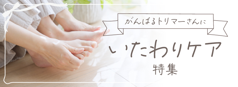 moncheri】モンシェリ 保温アルミシート入りドームハウス - AsoboLabo
