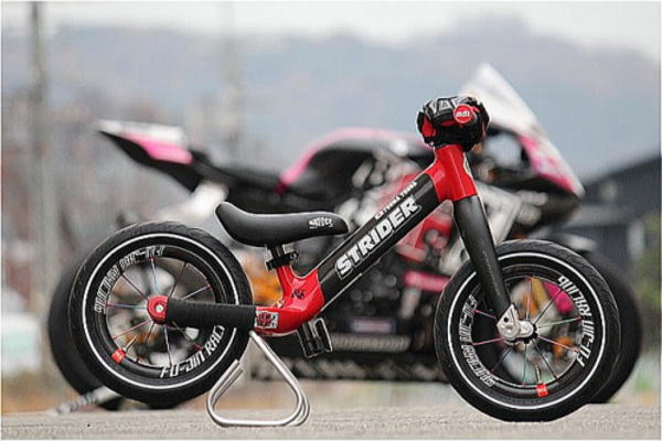 ストライダープロカスタム