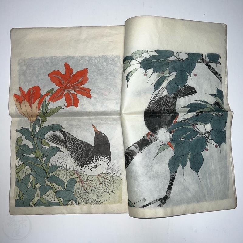 幕末屋 • 景年花鳥画譜 今尾景年画 写本 2冊 (日本の写本 ) • 希少な本