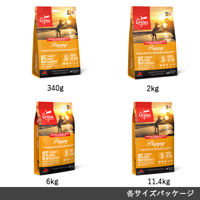 オリジン パピー ORIJOPN1-00 | オリジン | GREEN DOG & CAT（グリーン